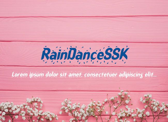 RainDanceSSK example