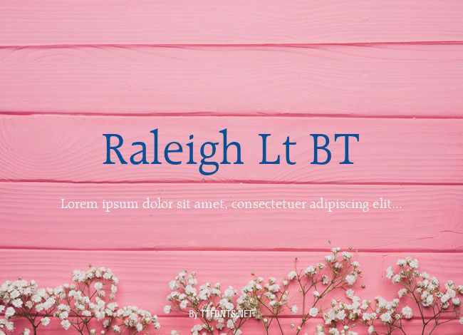 Raleigh Lt BT example