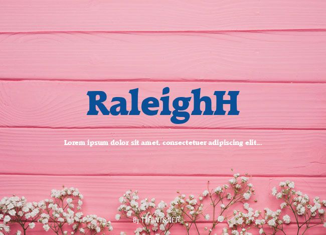 RaleighH example