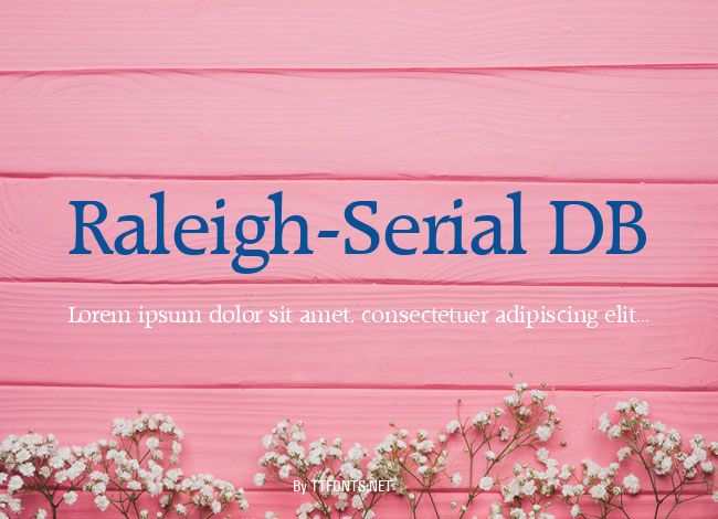 Raleigh-Serial DB example