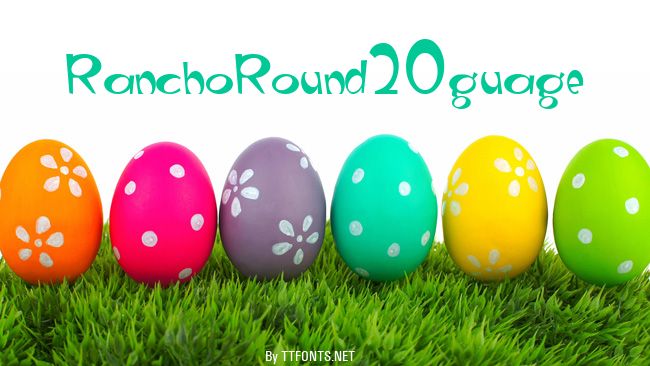 RanchoRound20guage example