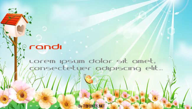 Randi example