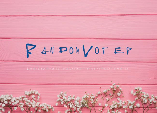 Random Voter example