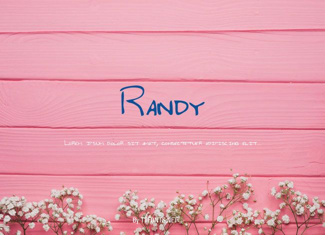 Randy example