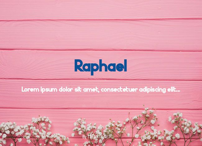 Raphael example