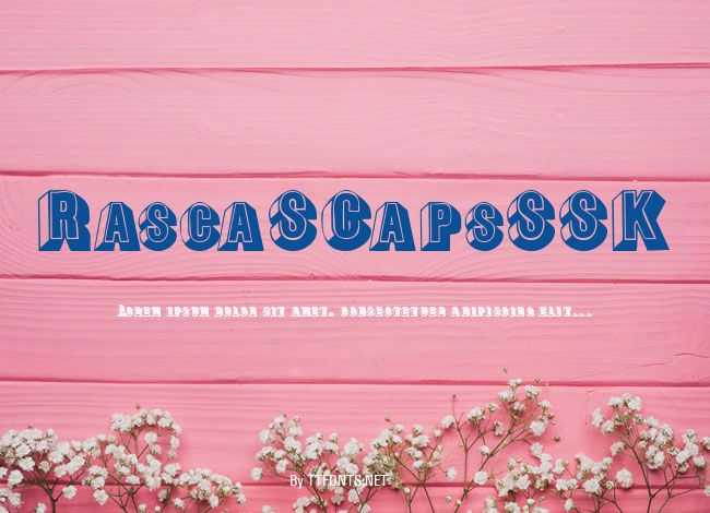 RascaSCapsSSK example