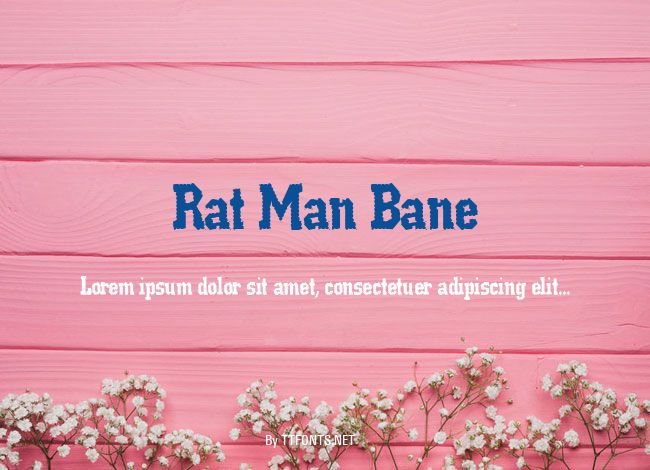 Rat Man Bane example