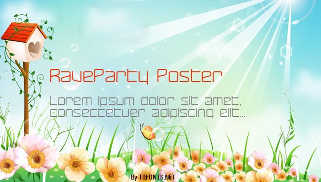 RaveParty Poster example