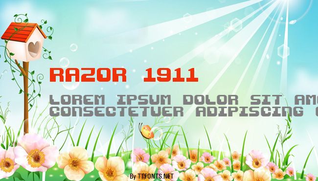 Razor 1911 example