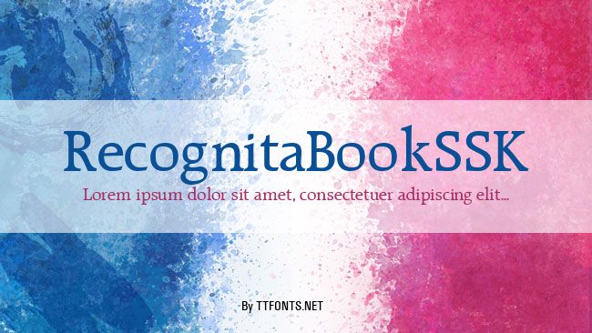 RecognitaBookSSK example