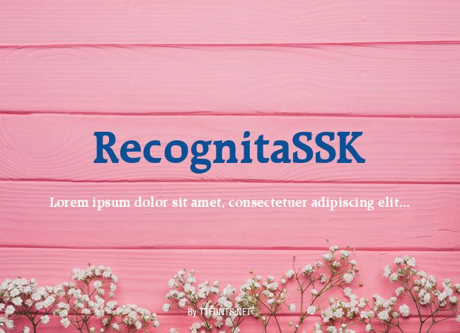 RecognitaSSK example