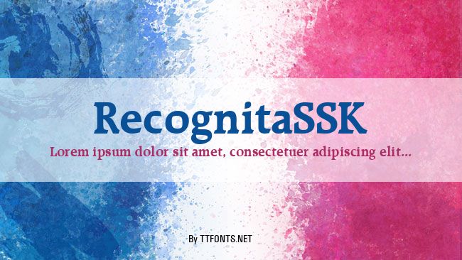 RecognitaSSK example