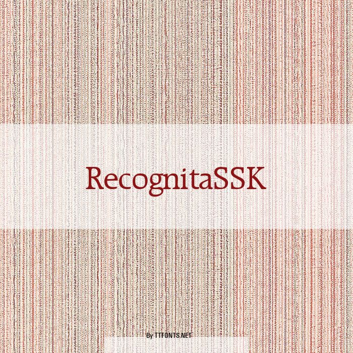 RecognitaSSK example