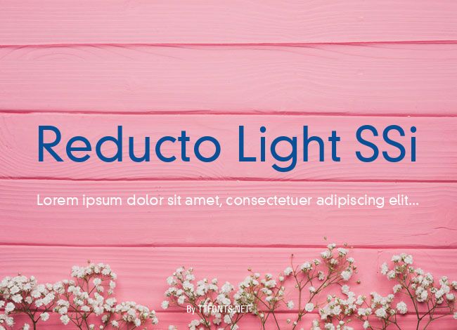 Reducto Light SSi example