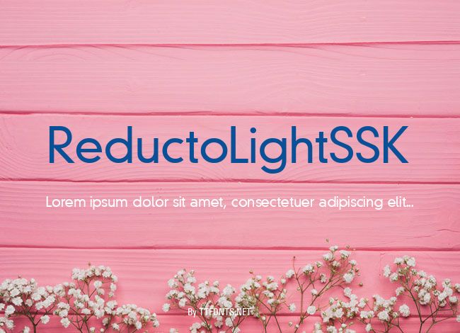 ReductoLightSSK example