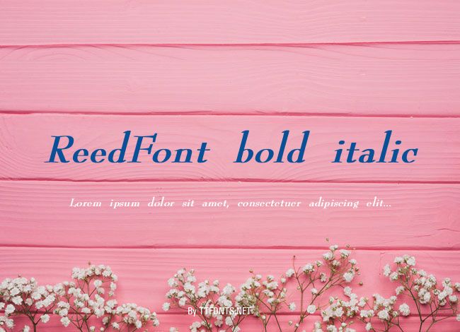 ReedFont bold italic example