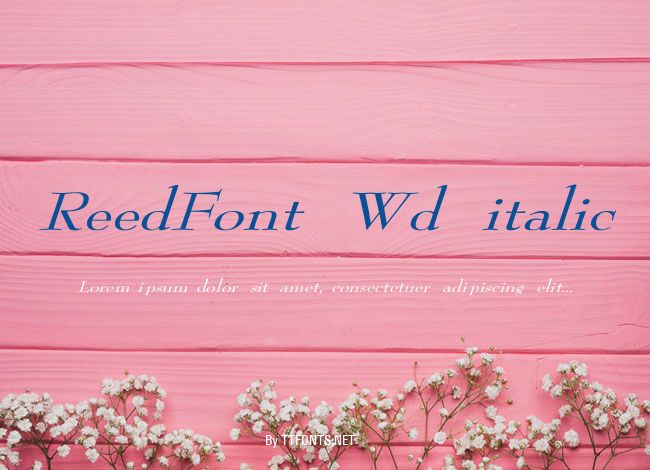 ReedFont Wd italic example