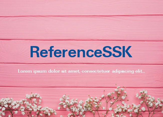 ReferenceSSK example