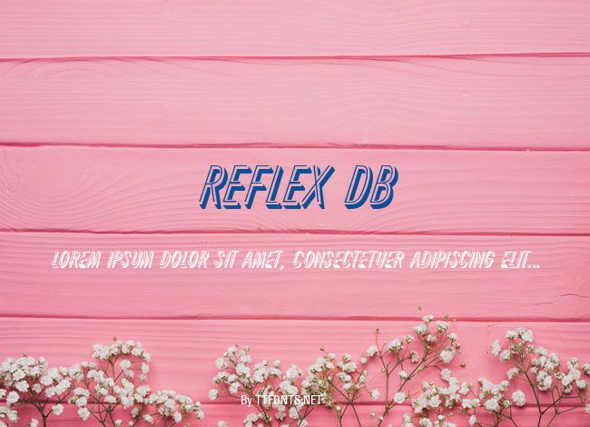 Reflex DB example