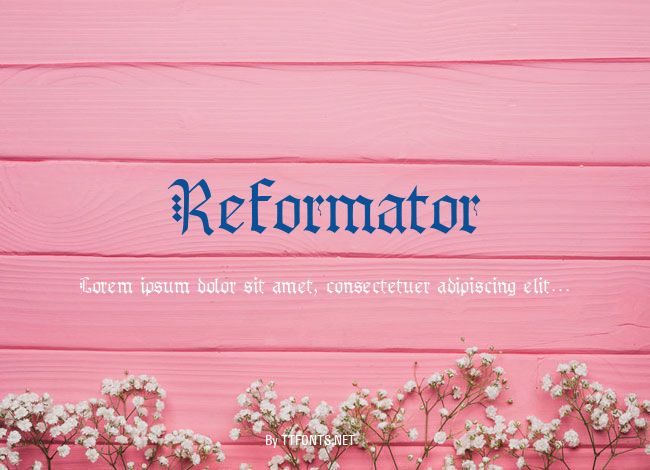 Reformator example