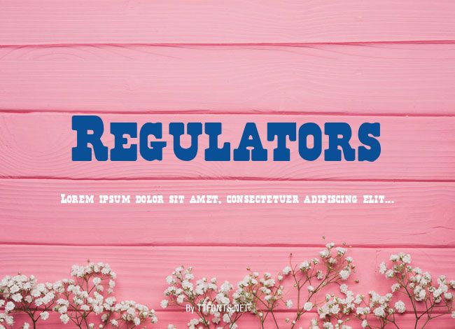 Regulators example