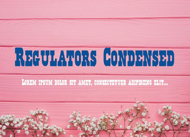 Regulators Condensed example