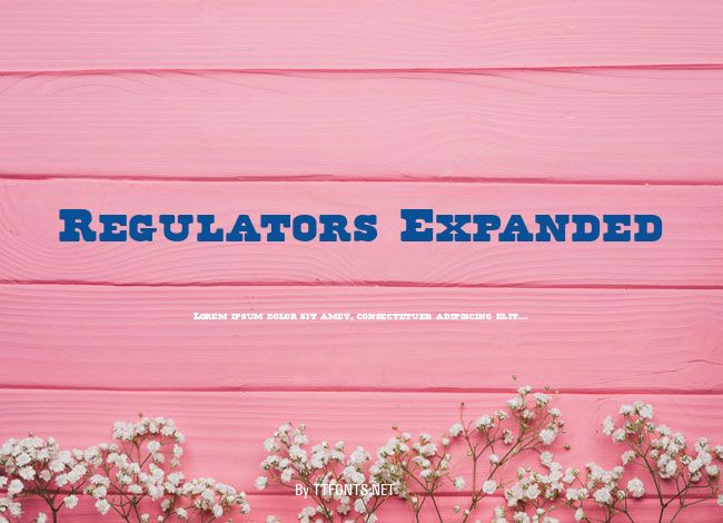 Regulators Expanded example