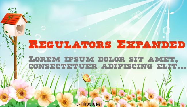 Regulators Expanded example