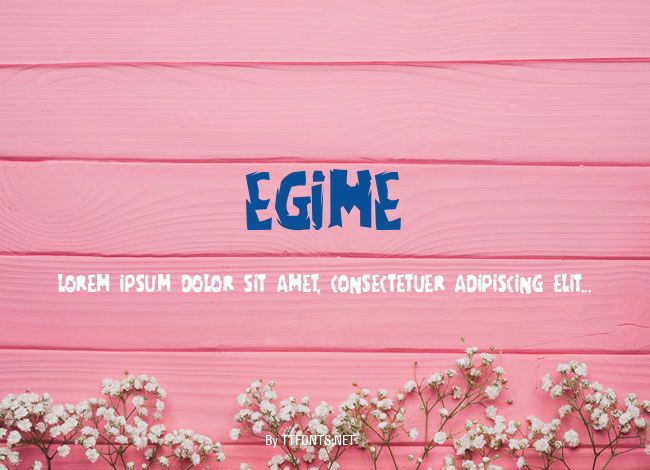 egime example