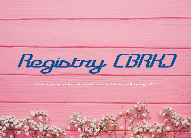 Registry (BRK) example