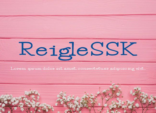ReigleSSK example