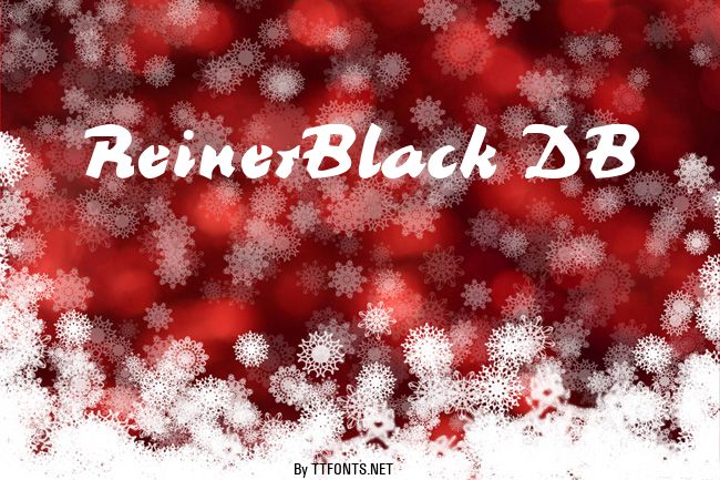 ReinerBlack DB example