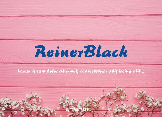 ReinerBlack example