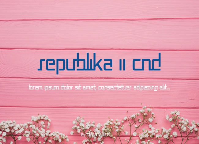 Republika II Cnd example