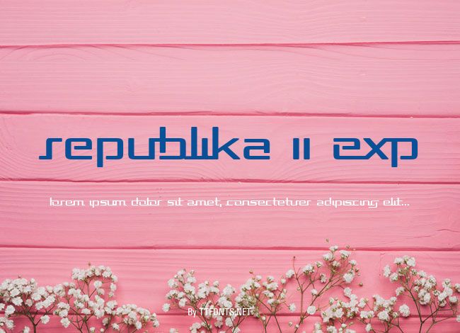 Republika II Exp example