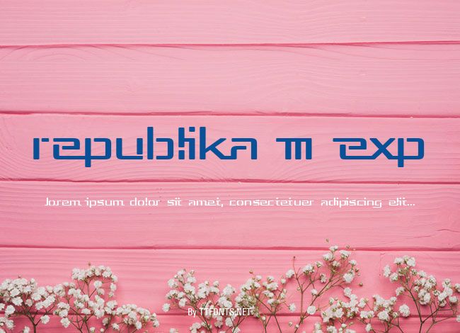 Republika III Exp example