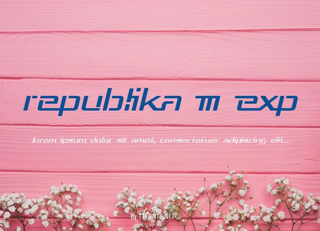 Republika III Exp example