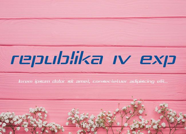 Republika IV Exp example