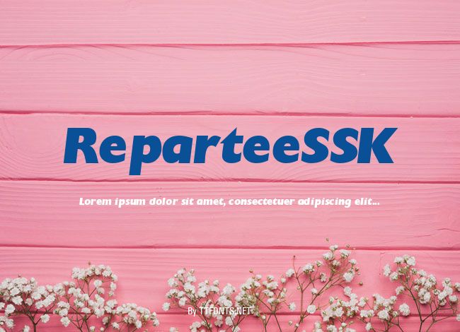 ReparteeSSK example