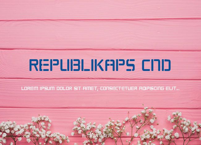 Republikaps Cnd example