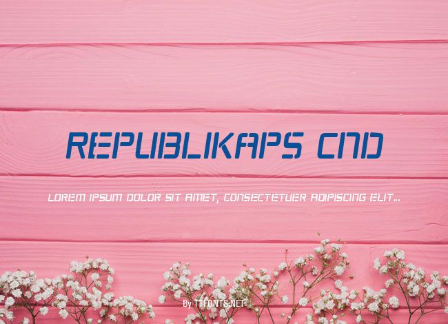 Republikaps Cnd example