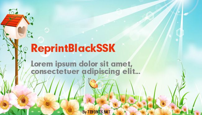 ReprintBlackSSK example