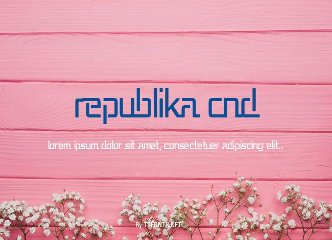 Republika Cnd example