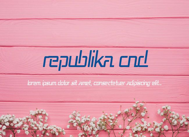Republika Cnd example