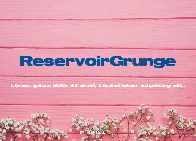 ReservoirGrunge example