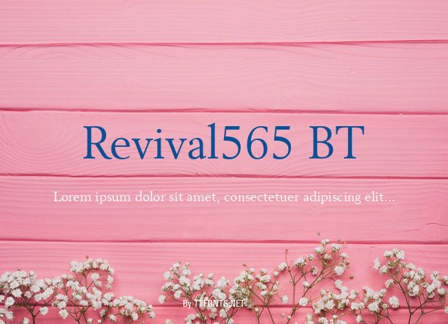 Revival565 BT example