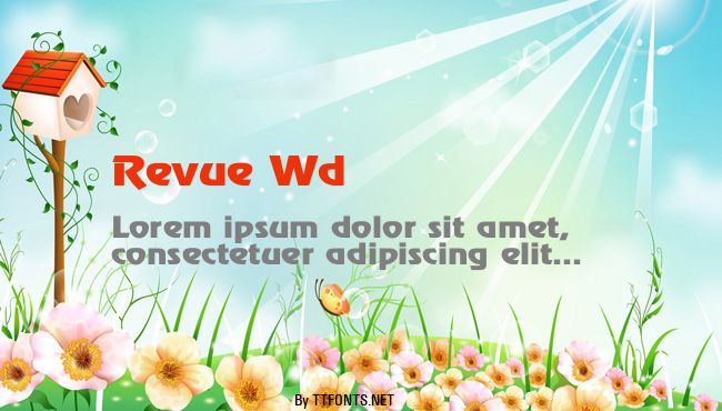 Revue Wd example