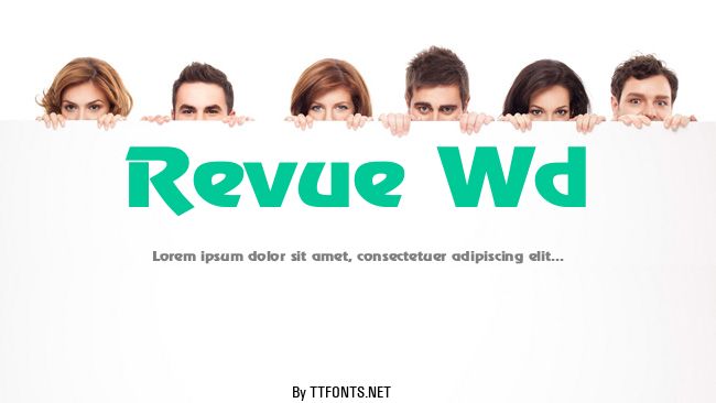 Revue Wd example