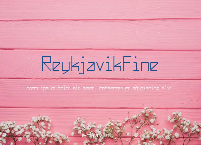 ReykjavikFine example