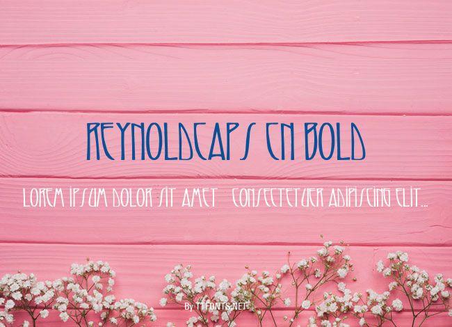 ReynoldCaps Cn bold example